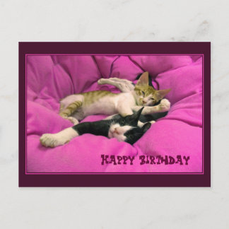 Carte Postale Joyeux chats mignons d'anniversaire
