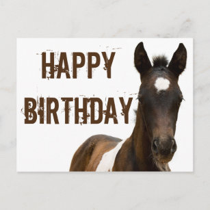 anniversaire chevaux