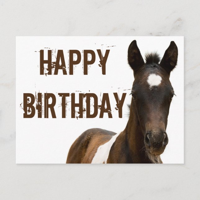 Carte Postale Joyeux Cheval de Colt d'anniversaire (Devant)