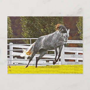 Carte Postale Joyeux Cheval de fuite