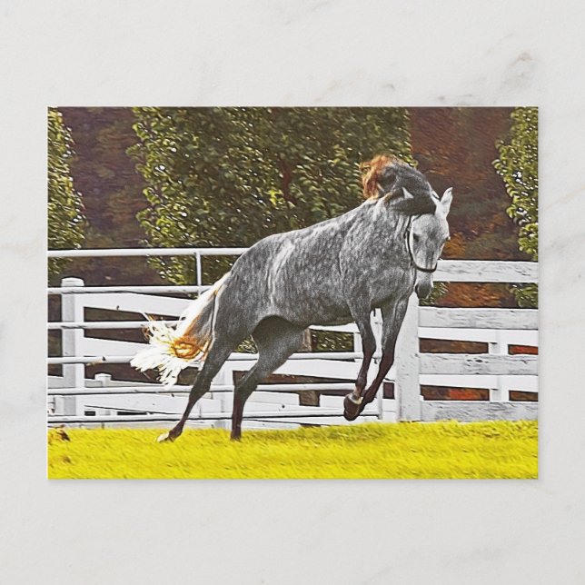 Carte Postale Joyeux Cheval de fuite (Devant)