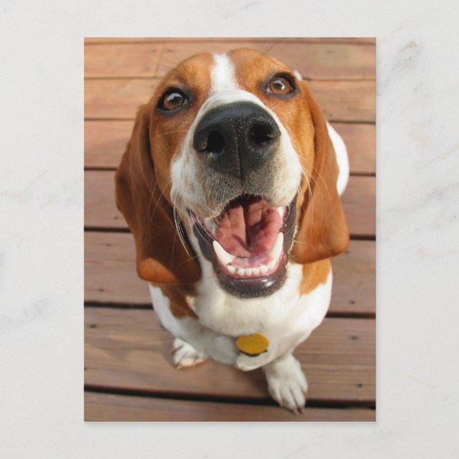 Carte Postale Joyeux chien (Devant)