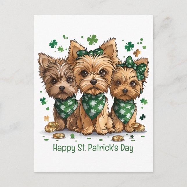 Carte Postale Joyeux Chiens du Yorkshire Terrier de St. Patrick' (Devant)