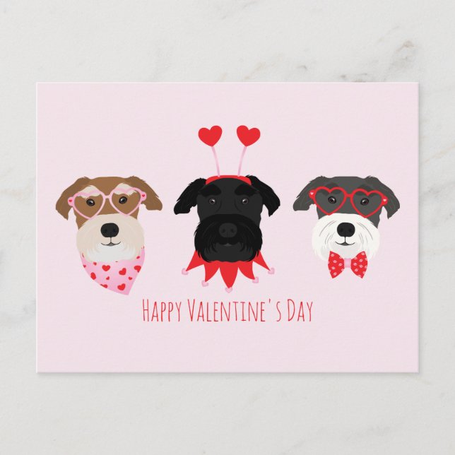 Carte Postale Joyeux Chiens Schnauzer de la Journée des Valentin (Devant)