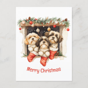 Carte Postale Joyeux Chih Tzu Chiens de Noël Shih