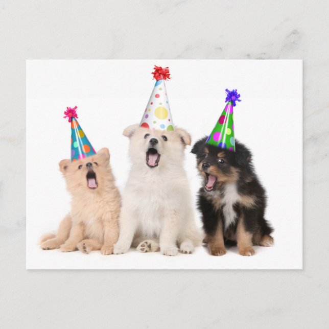Carte Postale Joyeux chiots d'anniversaire (Devant)