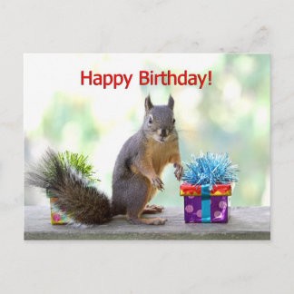 Carte Postale Joyeux écureuil d'anniversaire