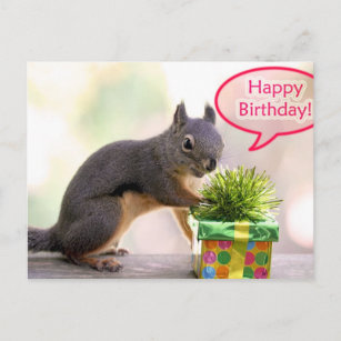 Cartes Postales Joyeux Anniversaire Ecureuil Originales Zazzle Fr