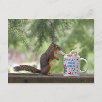 Carte Postale Joyeux écureuil d'anniversaire