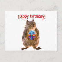 Cartes Postales Joyeux Anniversaire Ecureuil Originales Zazzle Fr