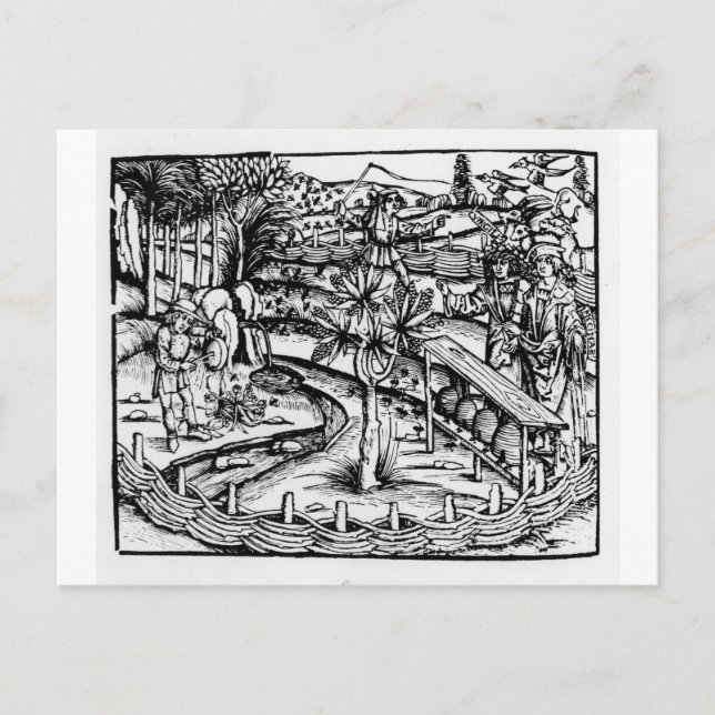 Carte Postale Joyeux éleveurs qui s'occupent des abeilles, illus (Devant)