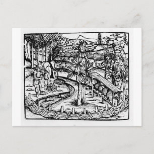 Carte Postale Joyeux éleveurs qui s'occupent des abeilles, illus