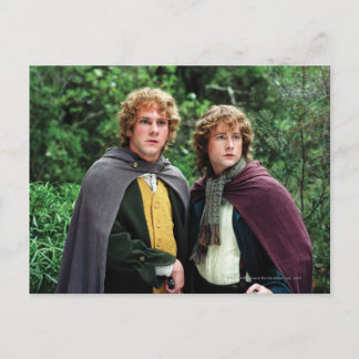 Carte Postale Joyeux et Peregrin