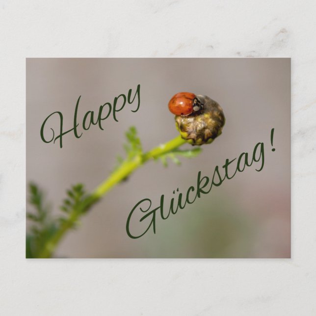 Carte Postale Joyeux Glückstag - mit Marienkäfer ! (Devant)