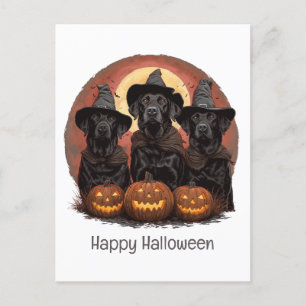 Carte Postale Joyeux Halloween Labrador Retriever Chiens Casquet