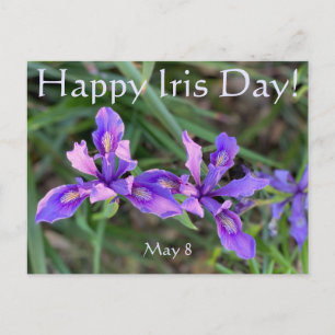 Carte Postale Joyeux Iris Day !