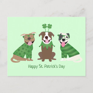 Carte Postale Joyeux Jour de la Saint Patrick Pit Bull Dogs