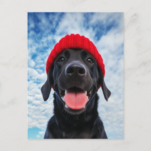Carte Postale Joyeux Labrador dans une Beanie rouge sous un ciel