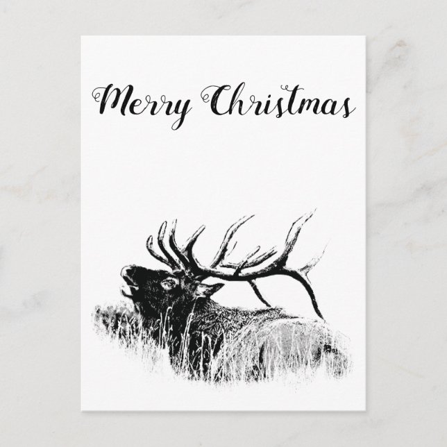 Carte Postale Joyeux Noël (Devant)