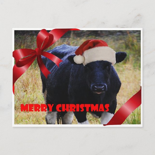 Carte postale Joyeux Noël à la vache noire (Devant)