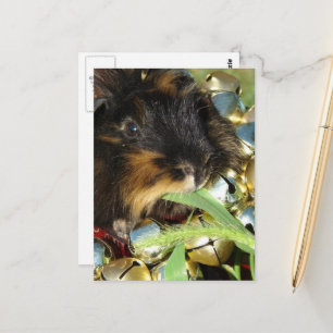 Carte Postale Joyeux Noël adorable cochon d'Inde