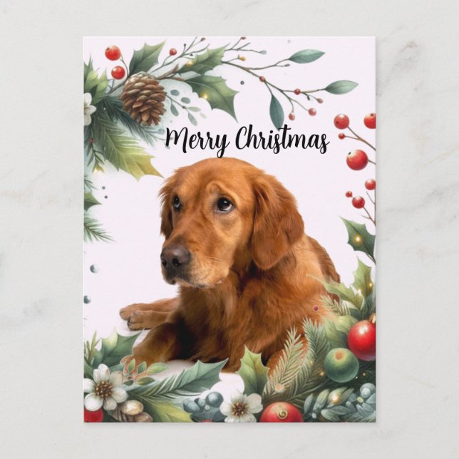 Carte Postale Joyeux Noël Amoureux des chiens Golden Retriever (Devant)