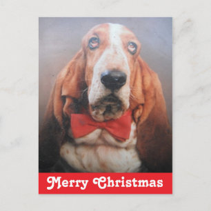 Carte postale Joyeux Noël Basset Hound