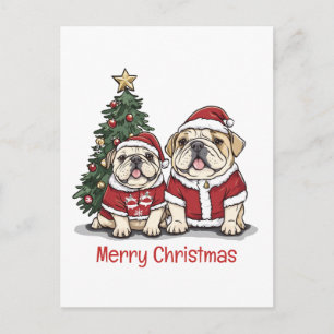 Carte Postale Joyeux Noël Bulldog Anglais Chapeaux de Père Noël