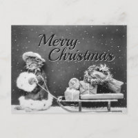 Joyeux Noël Chat avec Cadeaux, Traîneau & Neige