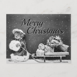 Carte Postale Joyeux Noël Chat avec Cadeaux, Traîneau & Neige