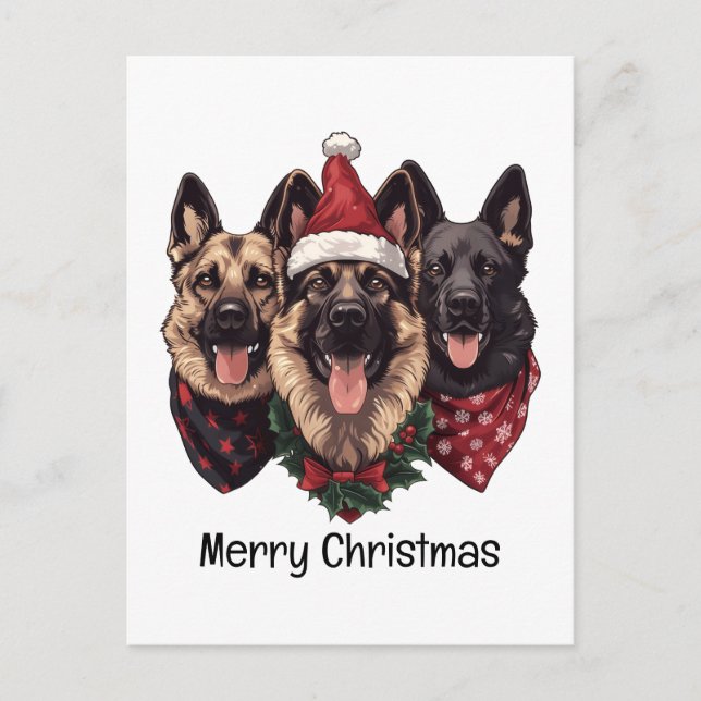 Carte Postale Joyeux Noël Chiens bergers allemands (Devant)