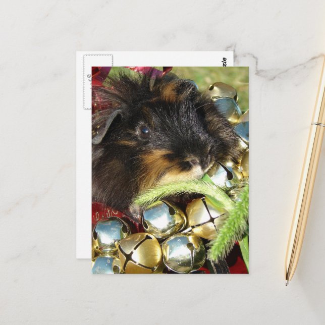 Carte Postale Joyeux Noël Cochon d'Inde (Devant/Arrière en situation)