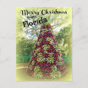 Carte Postale Joyeux Noël de Floride Bromeliad Tree
