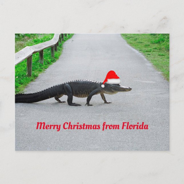 Carte Postale Joyeux Noël de Floride drôle d'alligator (Devant)