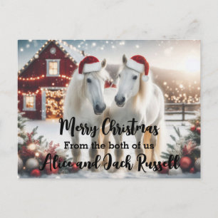 Carte Postale Joyeux Noël de la part de nous deux chevaux blancs