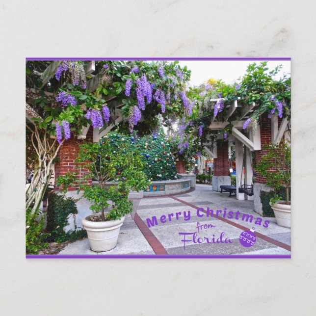 Carte Postale Joyeux Noël de Sunny Florida Purple Flowers (Devant)