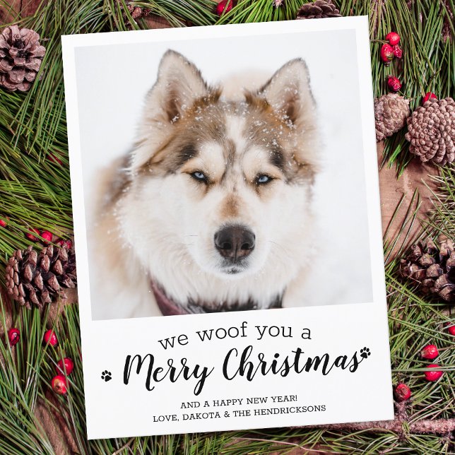 Carte Postale Joyeux Noël Du Chien Moderne Animaux Photo Hol (Créateur téléchargé)