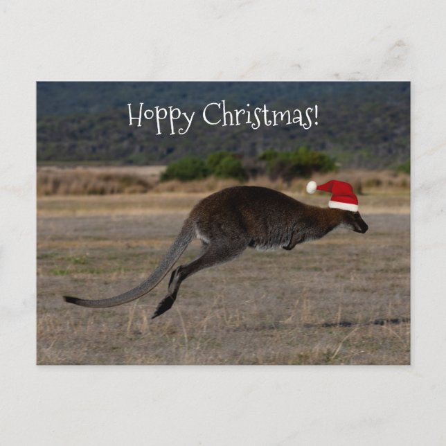 Carte Postale Joyeux Noël Houblonné Kangourou Chapeau Rouge de P (Devant)