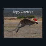 Carte Postale Joyeux Noël Houblonné Kangourou Chapeau Rouge de P<br><div class="desc">Qui n'aime pas cet animal australien emblématique ? Rendez Noël de tous vos proches beaucoup plus heureux avec cette carte de vœux unique et une photo époustouflante d'un kangourou sautant en plein vol. Pour l'occasion, il est vêtu d'un chapeau rouge de Père Noël ! Les vastes plaines ouvertes abondant en...</div>