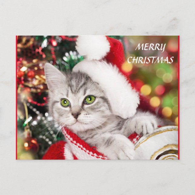 Carte Postale Joyeux Noël Kitten (Devant)