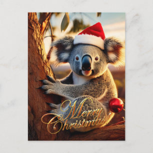 Carte Postale Joyeux Noël Koala assis dans un Eucalyptus