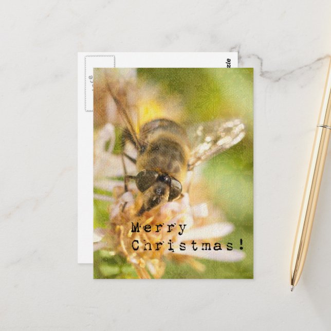 Carte Postale Joyeux Noël Papillon de nuit sur fleur (Devant/Arrière en situation)