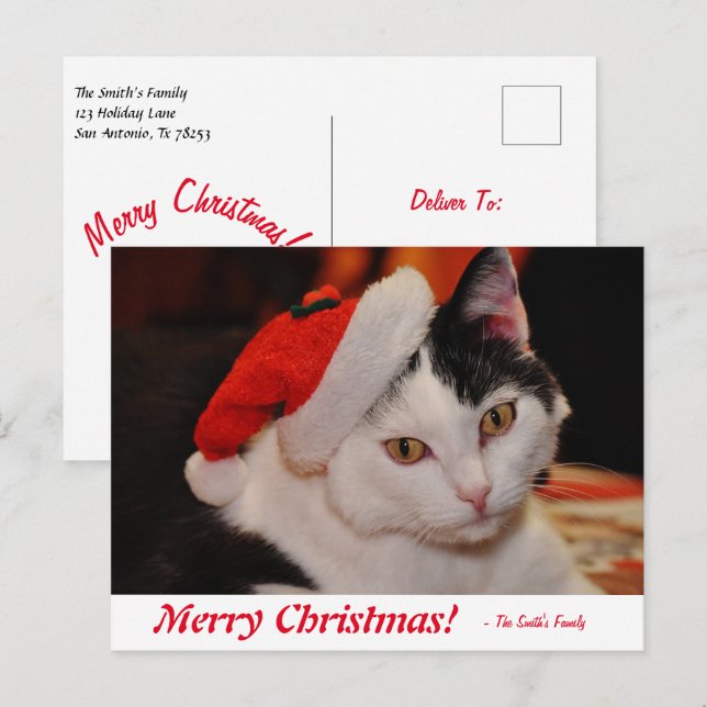Carte Postale Joyeux Noël personnalisé Chat noir et blanc (Devant / Derrière)