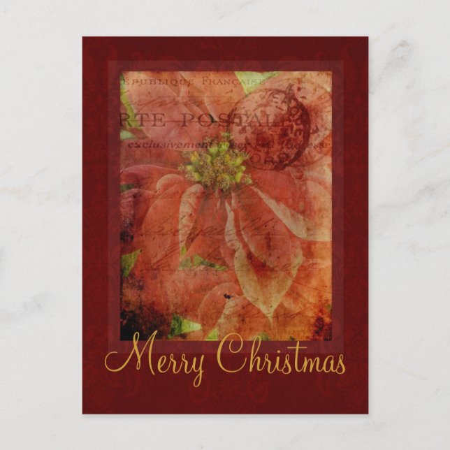 Carte postale Joyeux Noël Poinsettia (Devant)