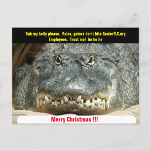 Carte Postale Joyeux Noël Senior TLC