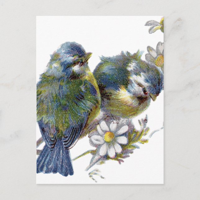Carte Postale Joyeux oiseaux Vintages (Devant)