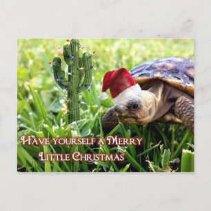 Carte Postale Joyeux petit Noël - Tortue du désert