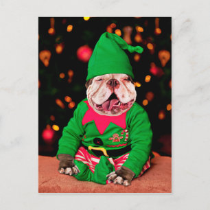 Carte Postale Joyeux Pitmas, Style Pit Bull