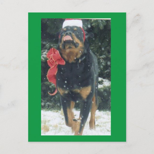 Carte Postale joyeux rottweiler de noël avec chapeau santa, arc, (Devant)