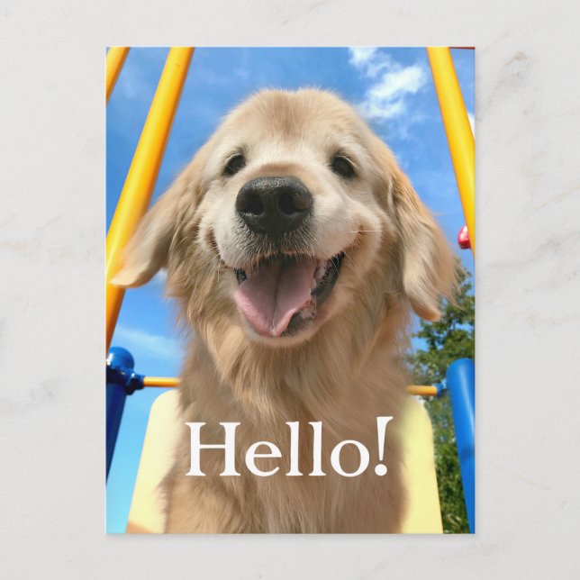 Carte Postale Joyeux Smiling Golden Retriever (Devant)